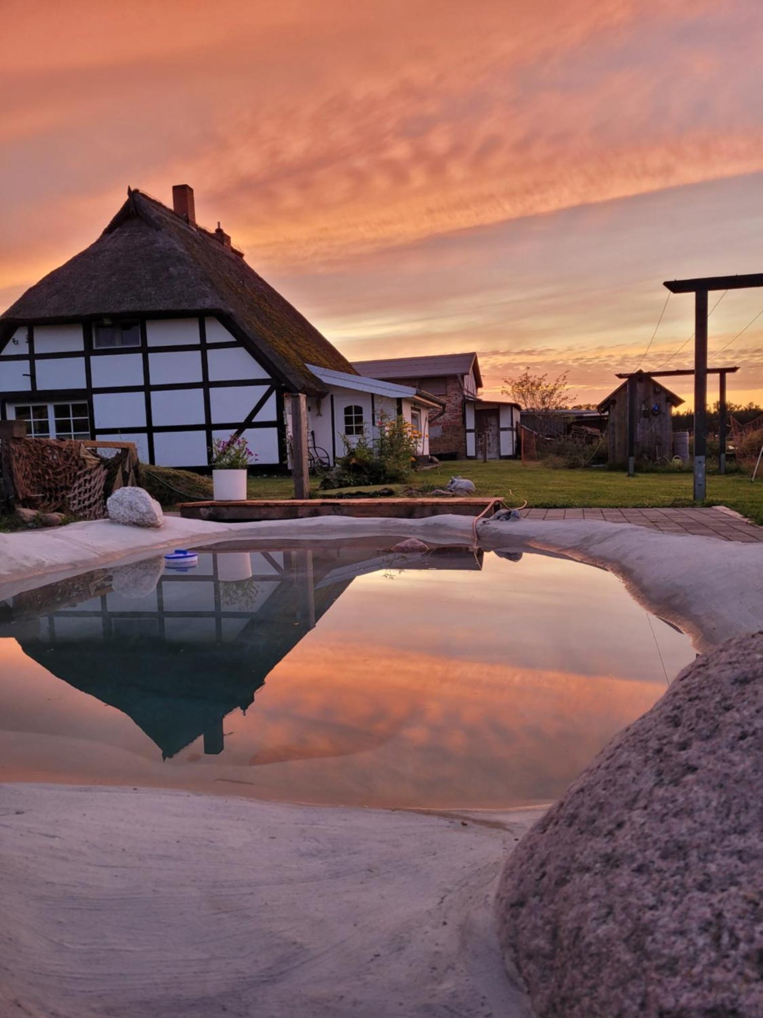 Vila Urlaub Unterm Reetdach Auf Dem Darss Fuhlendorf  Exteriér fotografie